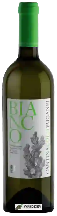 Weingut Colli Euganei - Bianco