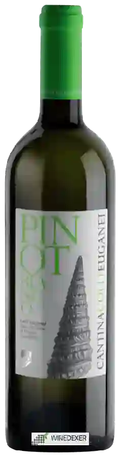 Weingut Colli Euganei - Pinot Bianco Weingut Colli Euganei - Pinot Bianco