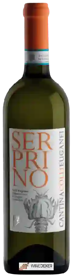 Weingut Colli Euganei - Serprino Weingut Colli Euganei - Serprino