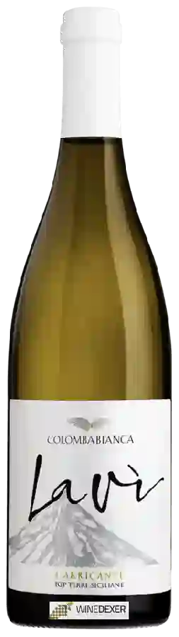 Weingut Cantina Colomba Bianca - Lavì Carricante