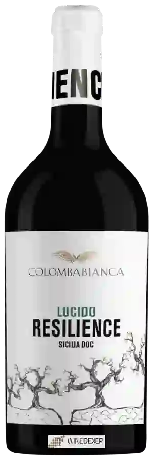 Weingut Cantina Colomba Bianca - Resilience Lucido Weingut Cantina Colomba Bianca - Resilience Lucido
