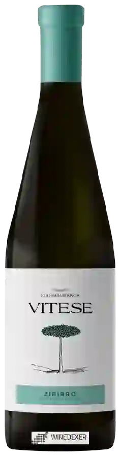 Weingut Cantina Colomba Bianca - Vitese Zibibbo Weingut Cantina Colomba Bianca - Vitese Zibibbo
