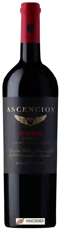Weingut Colomé - Ascencion Malbec Weingut Colomé - Ascencion Malbec