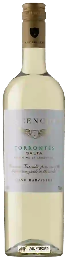 Weingut Colomé - Ascencion Torrontés Weingut Colomé - Ascencion Torrontés