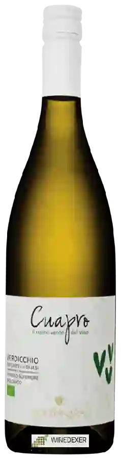 Weingut Colonnara - Cuapro Verdicchio dei Castelli di Jesi Classico Superiore Biologico