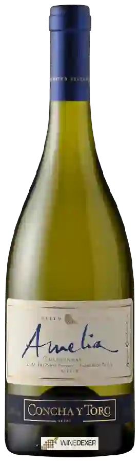 Weingut Concha y Toro - Amelia Chardonnay
