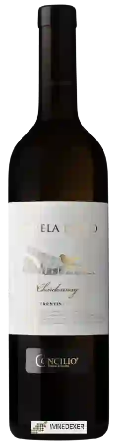 Weingut Concilio - Amsela d'Oro Chardonnay Weingut Concilio - Amsela d'Oro Chardonnay