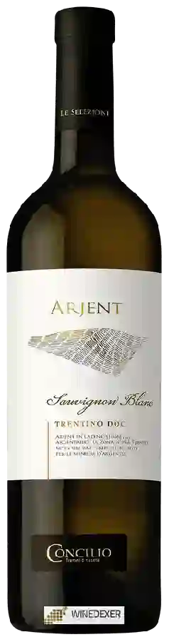 Weingut Concilio - Le Selezioni Arjent Trentino Sauvignon Blanc Weingut Concilio - Le Selezioni Arjent Trentino Sauvignon Blanc