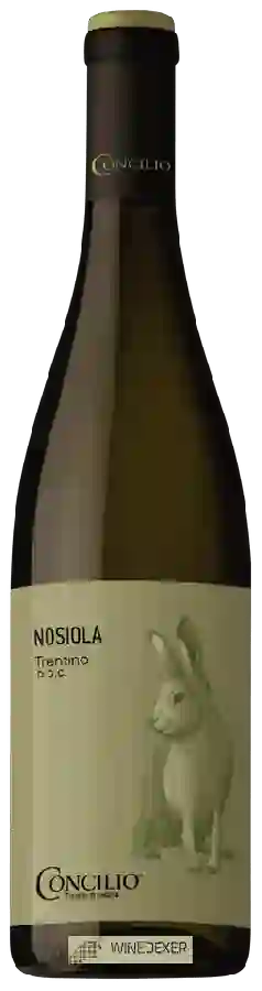 Weingut Concilio - Nativi Trentino Nosiola Weingut Concilio - Nativi Trentino Nosiola