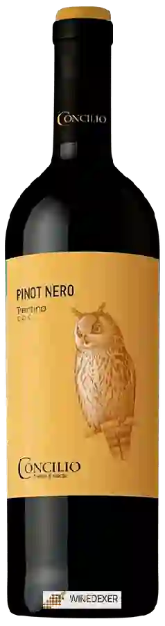 Weingut Concilio - Nativi Trentino Pinot Nero