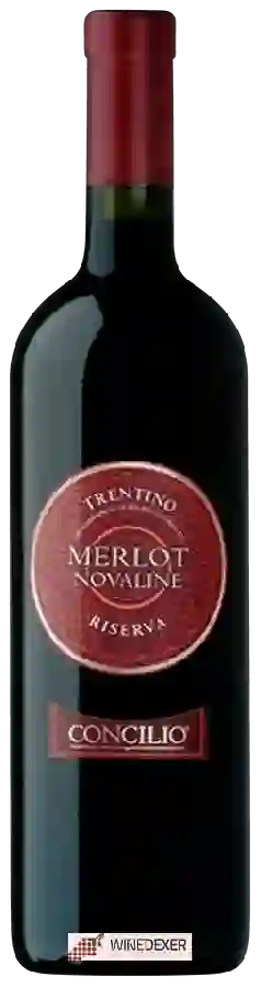 Weingut Concilio - Novaline Merlot Trentino Riserva