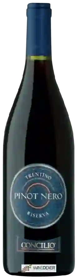 Weingut Concilio - Pinot Nero Trentino Riserva Weingut Concilio - Pinot Nero Trentino Riserva