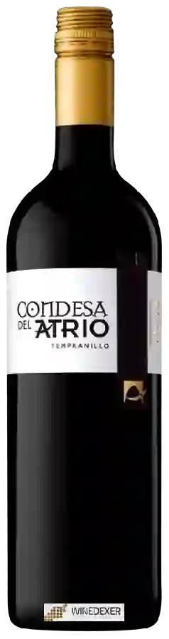 Weingut Condesa del Atrio - Tempranillo Weingut Condesa del Atrio - Tempranillo