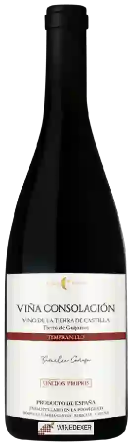 Weingut Familia Conesa - Viña Consolación Tempranillo Weingut Familia Conesa - Viña Consolación Tempranillo