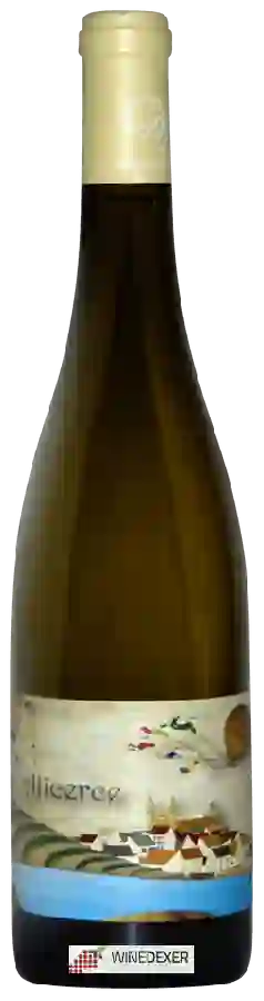 Weingut Conexión Mandeo - Alicerce Weingut Conexión Mandeo - Alicerce