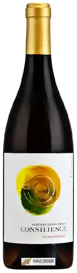 Weingut Consilience - Chardonnay Weingut Consilience - Chardonnay