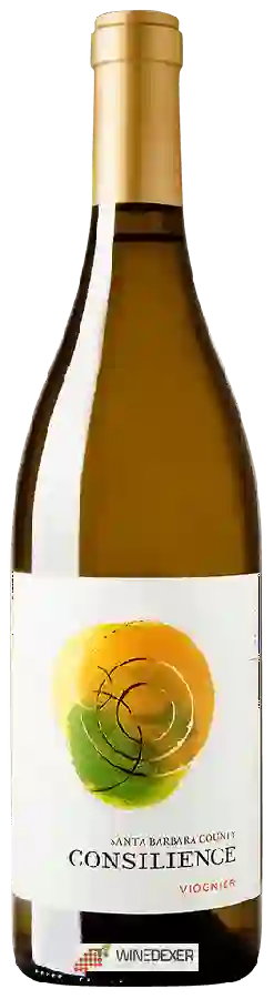 Weingut Consilience - Viognier Weingut Consilience - Viognier