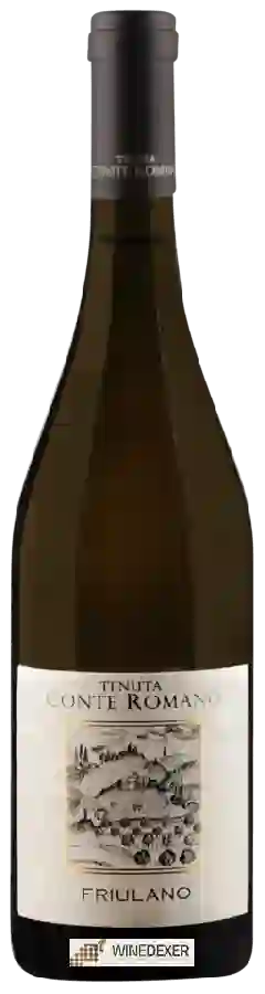 Weingut Tenuta Conte Romano - Friulano Weingut Tenuta Conte Romano - Friulano