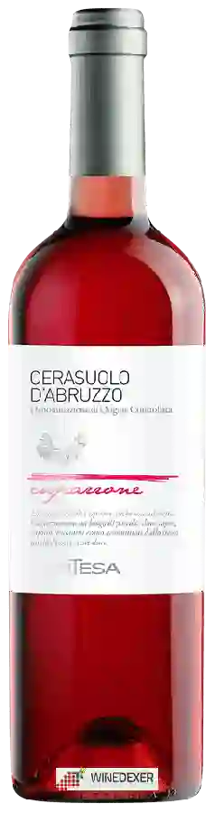 Weingut Contesa - Caparrone Cerasuolo d'Abruzzo Weingut Contesa - Caparrone Cerasuolo d'Abruzzo