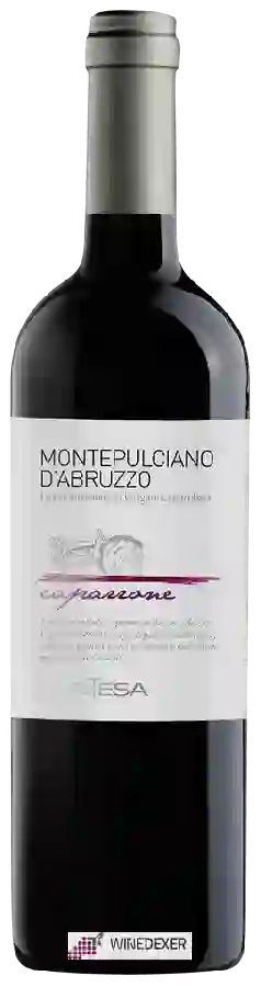 Weingut Contesa - Caparrone Montepulciano d'Abruzzo Weingut Contesa - Caparrone Montepulciano d'Abruzzo