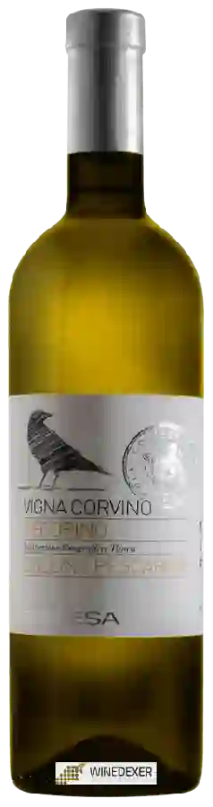 Weingut Contesa - Vigna Corvino Pecorino Weingut Contesa - Vigna Corvino Pecorino