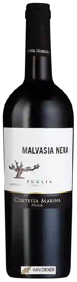 Weingut Contessa Marina - Malvasia Nera Weingut Contessa Marina - Malvasia Nera