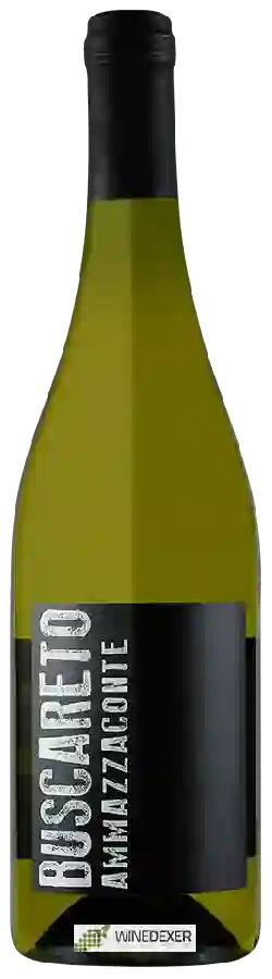 Weingut Conti di Buscareto - Ammazzaconte Verdicchio dei Castelli di Jesi Weingut Conti di Buscareto - Ammazzaconte Verdicchio dei Castelli di Jesi