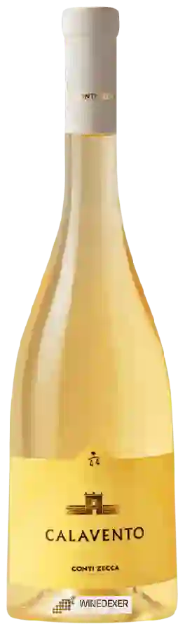 Weingut Conti Zecca - Calavento Malvasia Weingut Conti Zecca - Calavento Malvasia