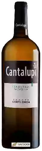 Weingut Conti Zecca - Cantalupi Chardonnay Salento