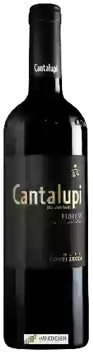Weingut Conti Zecca - Cantalupi Old Vineyards Primitivo
