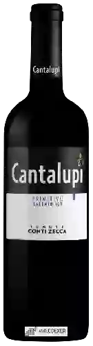 Weingut Conti Zecca - Cantalupi Primitivo Salento