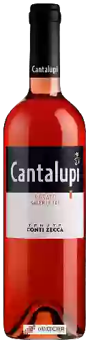 Weingut Conti Zecca - Cantalupi Rosato Salento