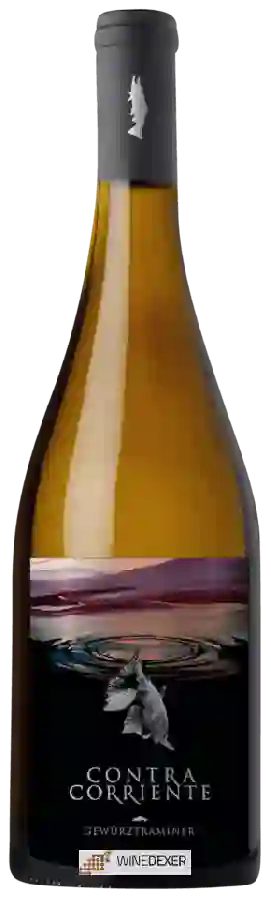 Contra Corriente Bodega - Gewürztraminer Contra Corriente Bodega - Gewürztraminer