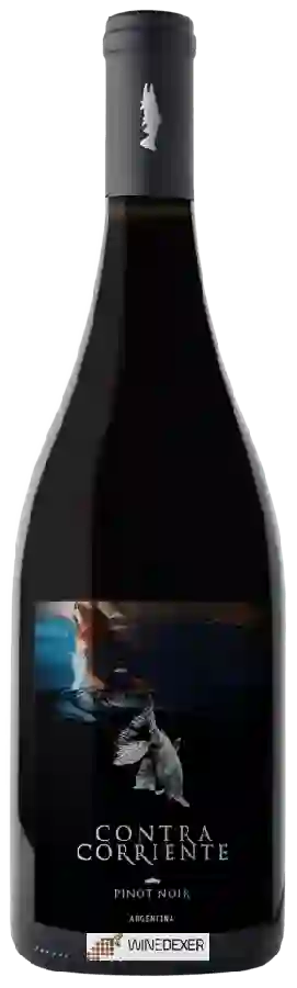 Contra Corriente Bodega - Pinot Noir Contra Corriente Bodega - Pinot Noir