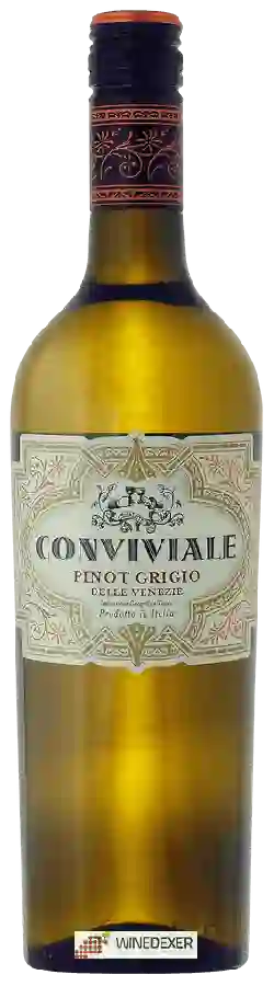 Weingut Conviviale - Pinot Grigio