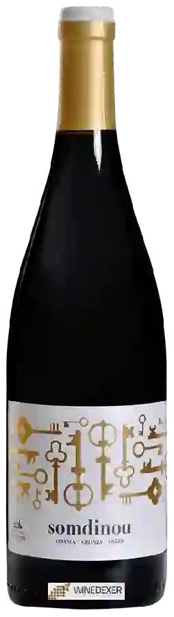 Weingut Cooperatiu Gandesa - Somdinou Criança Rouge