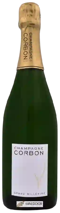 Weingut Corbon - Grand Millésime Champagne Grand Cru 'Avize' Weingut Corbon - Grand Millésime Champagne Grand Cru 'Avize'