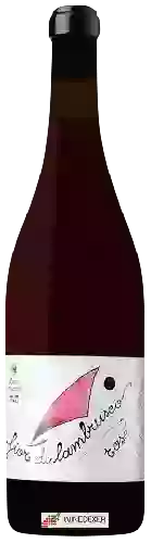 Weingut Corte Manzini - Fior di Lambrusco Rosè