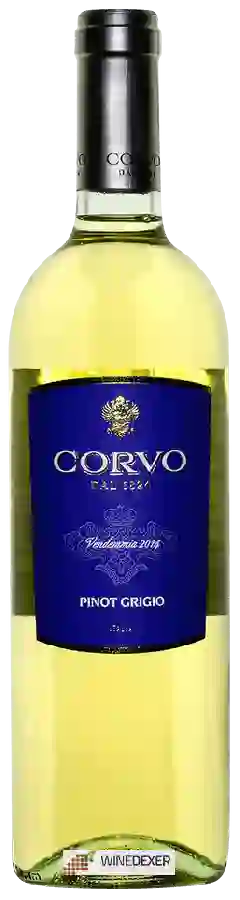 Weingut Corvo - Pinot Grigio