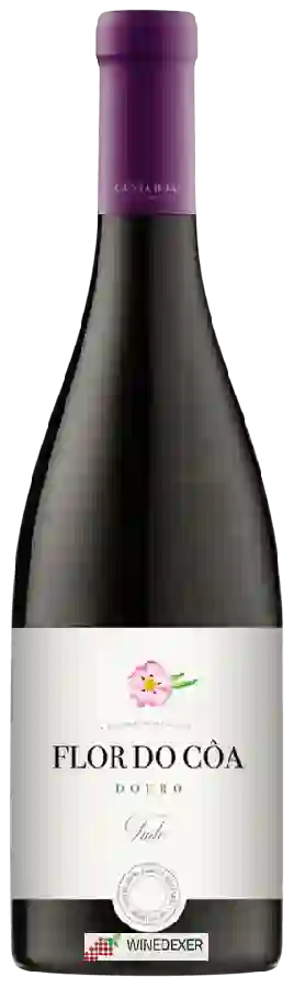Weingut Costa Boal Family Estates - Flor do Côa Tinto