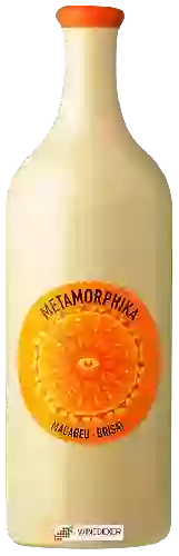 Weingut Costador - Metamorphika Macabeu Brisat