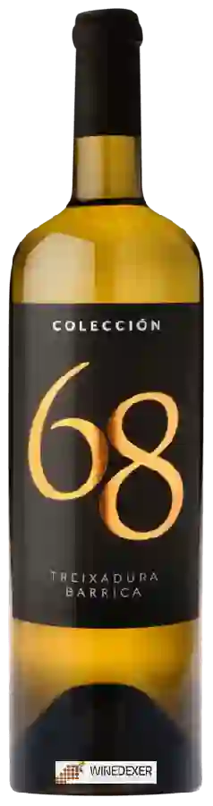 Weingut Viña Costeira - Colección 68 Treixadura Barrica