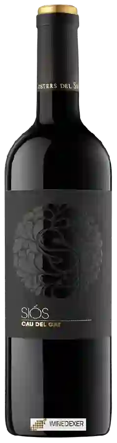 Weingut Costers del Sió - Siós Cau del Gat