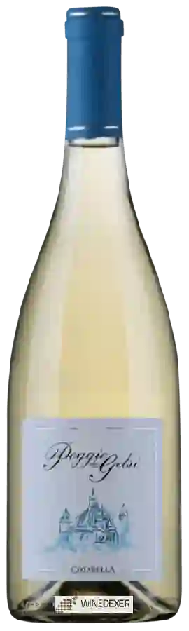 Weingut Cotarella - Poggio dei Gelsi Est!Est!Est! di Montefiascone Weingut Cotarella - Poggio dei Gelsi Est!Est!Est! di Montefiascone