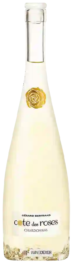 Weingut Côte des Roses - Côte des Roses Chardonnay
