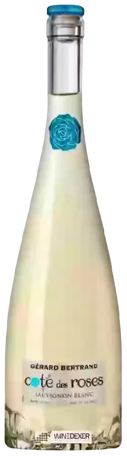 Weingut Côte des Roses - Côte des Roses Sauvignon Blanc