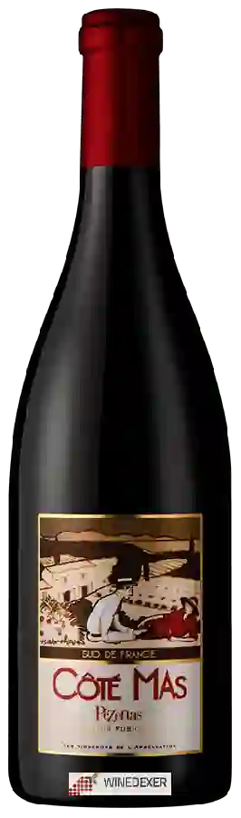 Weingut Côté Mas - Pézenas Terroir Fusionnel
