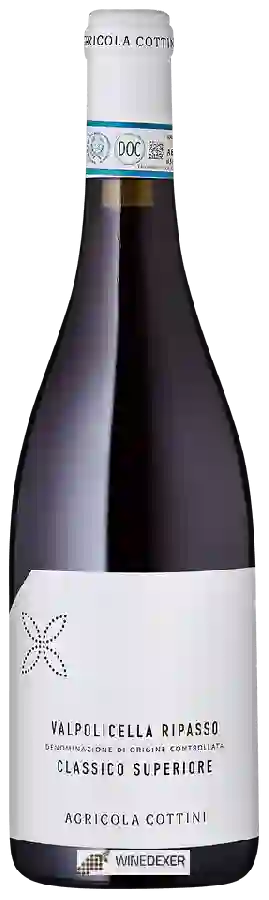 Weingut Cottini - Valpolicella Ripasso Classico Superiore