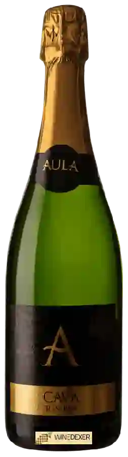 Weingut Coviñas - Aula Cava Reserva