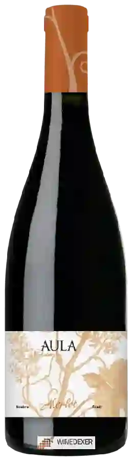 Weingut Coviñas - Aula De Autor Merlot Weingut Coviñas - Aula De Autor Merlot